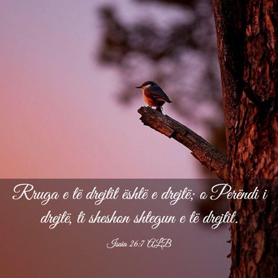 Picture 03 - Isaia 26:7 ALB - Rruga e të drejtit është e drejtë; o Perëndi - Bible Verse Picture