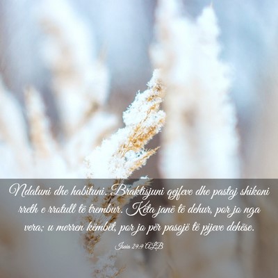 Picture 03 - Isaia 29:9 ALB - Ndaluni dhe habituni. Braktisjuni qejfeve dhe - Bible Verse Picture