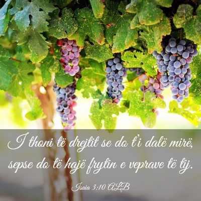 Picture 03 - Isaia 3:10 ALB - I thoni të drejtit se do t’i dalë mirë, - Bible Verse Picture