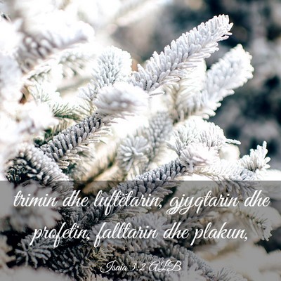 Picture 03 - Isaia 3:2 ALB - trimin dhe luftëtarin, gjyqtarin dhe profetin, - Bible Verse Picture