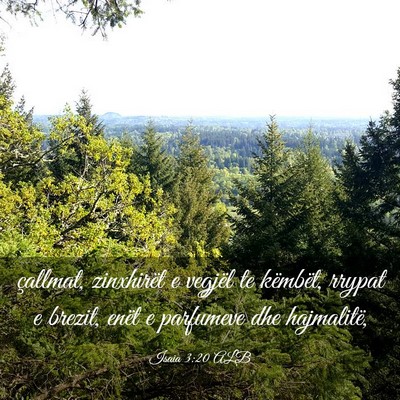 Picture 03 - Isaia 3:20 ALB - çallmat, zinxhirët e vegjël te këmbët, - Bible Verse Picture