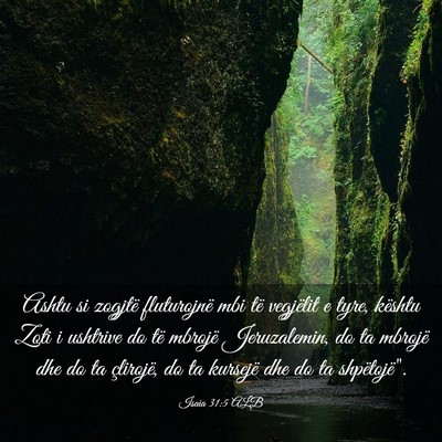 Picture 03 - Isaia 31:5 ALB - Ashtu si zogjtë fluturojnë mbi të vegjëlit e - Bible Verse Picture