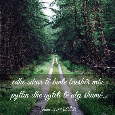 Picture 03 - Isaia 32:19 ALB - edhe sikur të binte breshër mbi pyllin dhe - Bible Verse Picture