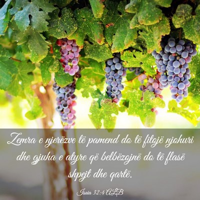 Picture 03 - Isaia 32:4 ALB - Zemra e njerëzve të pamend do të fitojë - Bible Verse Picture