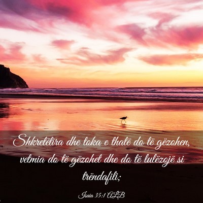 Picture 03 - Isaia 35:1 ALB - Shkretëtira dhe toka e thatë do të gëzohen, - Bible Verse Picture