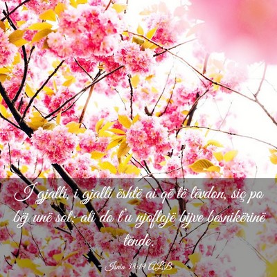 Picture 03 - Isaia 38:19 ALB - I gjalli, i gjalli është ai që të lëvdon, - Bible Verse Picture