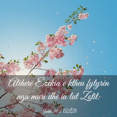 Picture 03 - Isaia 38:2 ALB - Atëherë Ezekia e ktheu fytyrën nga muri dhe iu - Bible Verse Picture