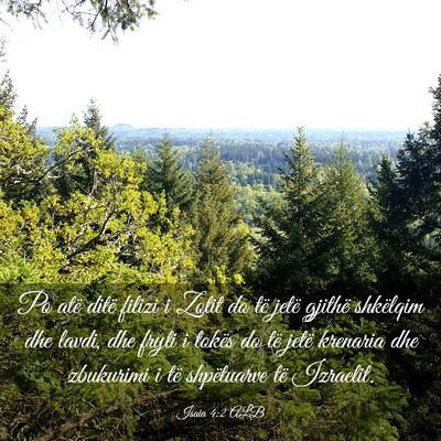 Picture 03 - Isaia 4:2 ALB - Po atë ditë filizi i Zotit do të jetë gjithë - Bible Verse Picture