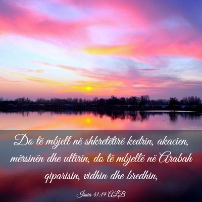 Picture 03 - Isaia 41:19 ALB - Do të mbjell në shkretëtirë kedrin, akacien, - Bible Verse Picture