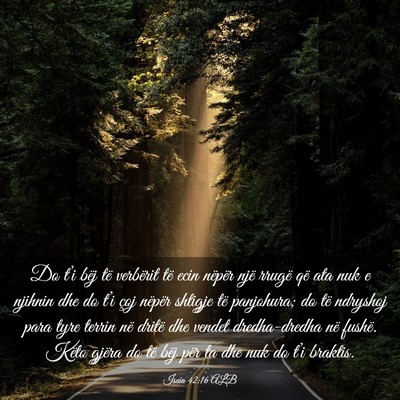 Picture 03 - Isaia 42:16 ALB - Do t’i bëj të verbërit të ecin nëpër një - Bible Verse Picture