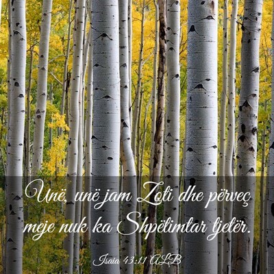 Picture 03 - Isaia 43:11 ALB - Unë, unë jam Zoti dhe përveç meje nuk ka - Bible Verse Picture