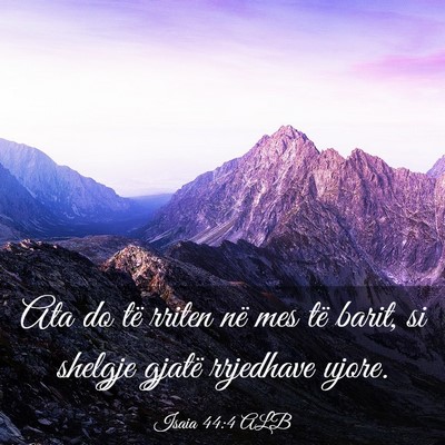 Picture 03 - Isaia 44:4 ALB - Ata do të rriten në mes të barit, si shelgje - Bible Verse Picture