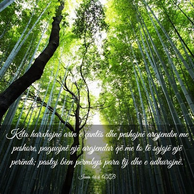 Picture 03 - Isaia 46:6 ALB - Këta harxhojnë arin e çantës dhe peshojnë - Bible Verse Picture