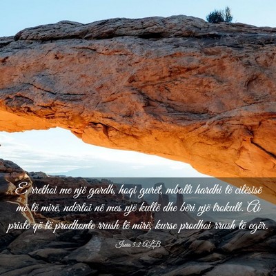 Picture 03 - Isaia 5:2 ALB - E rrethoi me një gardh, hoqi gurët, mbolli - Bible Verse Picture