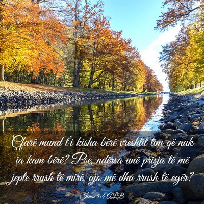 Picture 03 - Isaia 5:4 ALB - Çfarë mund t’i kisha bërë vreshtit tim që - Bible Verse Picture