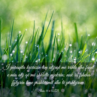 Picture 03 - Isaia 50:6 ALB - I paraqita kurrizin tim atij që më rrihte dhe - Bible Verse Picture