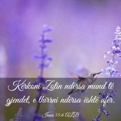 Picture 03 - Isaia 55:6 ALB - Kërkoni Zotin ndërsa mund të gjendet, e - Bible Verse Picture