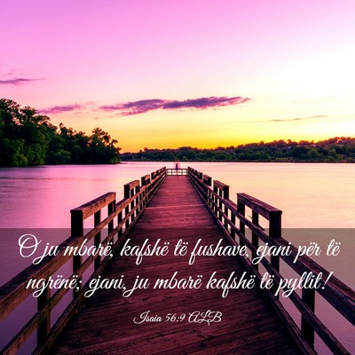 Picture 03 - Isaia 56:9 ALB - O ju mbarë, kafshë të fushave, ejani për të - Bible Verse Picture