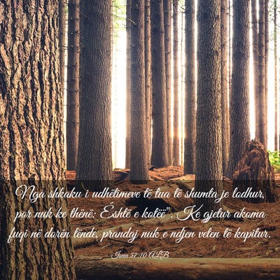 Picture 03 - Isaia 57:10 ALB - Nga shkaku i udhëtimeve të tua të shumta je - Bible Verse Picture