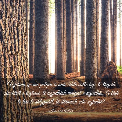 Picture 03 - Isaia 58:6 ALB - Agjërimi që më pëlqen a nuk është vallë - Bible Verse Picture