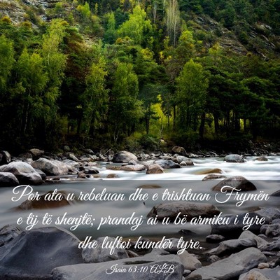 Picture 03 - Isaia 63:10 ALB - Por ata u rebeluan dhe e trishtuan Frymën e tij - Bible Verse Picture