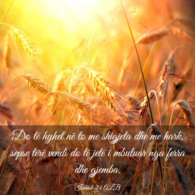 Picture 03 - Isaia 7:24 ALB - Do të hyhet në to me shigjeta dhe me hark, - Bible Verse Picture