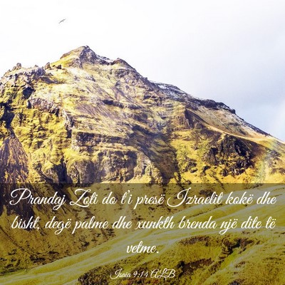 Picture 03 - Isaia 9:14 ALB - Prandaj Zoti do t’i presë Izraelit kokë dhe - Bible Verse Picture
