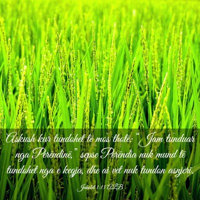 Picture 03 - Jakobit 1:13 ALB - Askush kur tundohet të mos thotë: “Jam - Bible Verse Picture