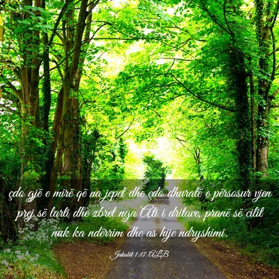 Picture 03 - Jakobit 1:17 ALB - çdo gjë e mirë që na jepet dhe çdo dhuratë - Bible Verse Picture
