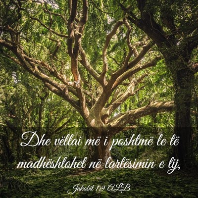 Picture 03 - Jakobit 1:9 ALB - Dhe vëllai më i poshtmë le të madhështohet - Bible Verse Picture