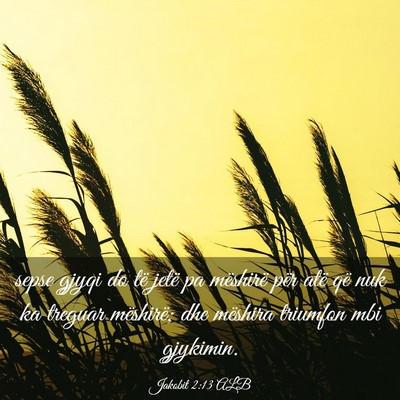 Picture 03 - Jakobit 2:13 ALB - sepse gjyqi do të jetë pa mëshirë për atë - Bible Verse Picture