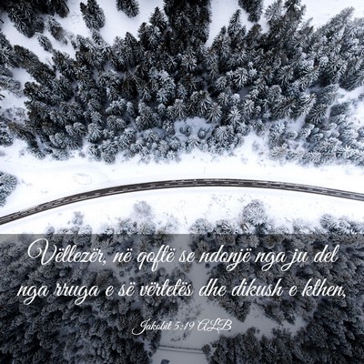 Picture 03 - Jakobit 5:19 ALB - Vëllezër, në qoftë se ndonjë nga ju del nga - Bible Verse Picture