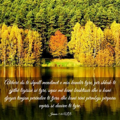 Picture 03 - Jeremia 1:16 ALB - Atëherë do të shpall mendimet e mia kundër - Bible Verse Picture