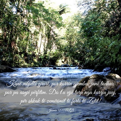 Picture 03 - Jeremia 12:13 ALB - Kanë mbjellë grurë, por korrin gjemba; janë - Bible Verse Picture