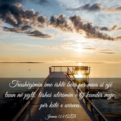 Picture 03 - Jeremia 12:8 ALB - Trashëgimia ime është bërë për mua si një - Bible Verse Picture