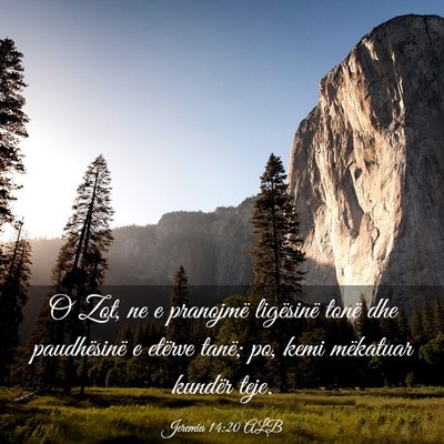 Picture 03 - Jeremia 14:20 ALB - O Zot, ne e pranojmë ligësinë tonë dhe - Bible Verse Picture