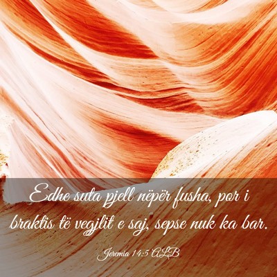 Picture 03 - Jeremia 14:5 ALB - Edhe suta pjell nëpër fusha, por i braktis të - Bible Verse Picture