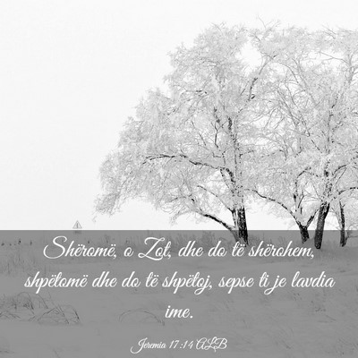 Picture 03 - Jeremia 17:14 ALB - Shëromë, o Zot, dhe do të shërohem, - Bible Verse Picture