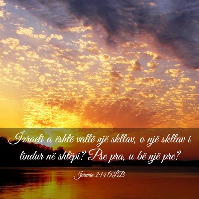 Picture 03 - Jeremia 2:14 ALB - Izraeli a është vallë një skllav, o një - Bible Verse Picture
