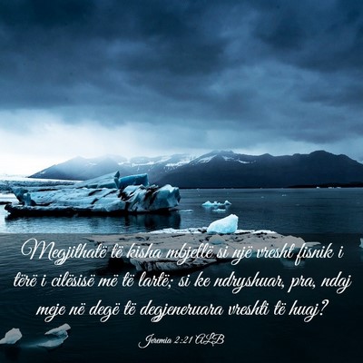 Picture 03 - Jeremia 2:21 ALB - Megjithatë të kisha mbjellë si një vresht - Bible Verse Picture