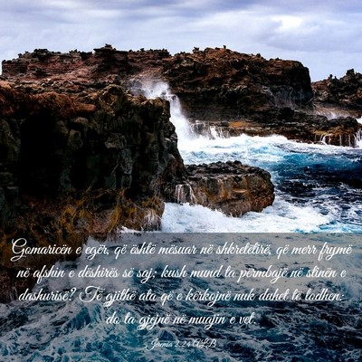 Picture 03 - Jeremia 2:24 ALB - Gomaricën e egër, që është mësuar në - Bible Verse Picture