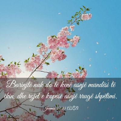 Picture 03 - Jeremia 25:35 ALB - Barinjtë nuk do të kenë asnjë mundësi të - Bible Verse Picture