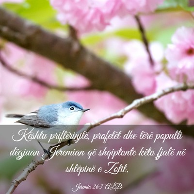 Picture 03 - Jeremia 26:7 ALB - Kështu priftërinjtë, profetët dhe tërë - Bible Verse Picture