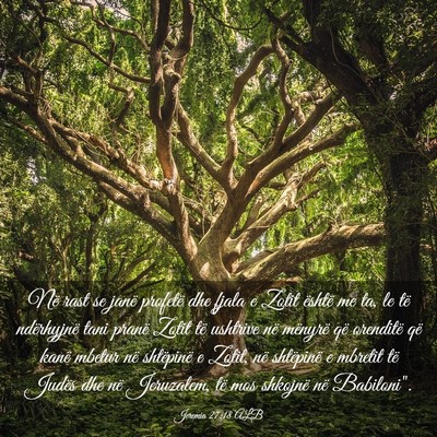 Picture 03 - Jeremia 27:18 ALB - Në rast se janë profetë dhe fjala e Zotit - Bible Verse Picture