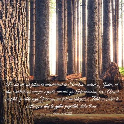 Picture 03 - Jeremia 28:1 ALB - Po atë vit, në fillim të mbretërimit të - Bible Verse Picture