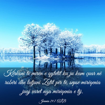 Picture 03 - Jeremia 29:7 ALB - Kërkoni të mirën e qytetit ku ju kam çuar në - Bible Verse Picture