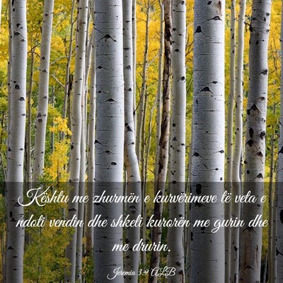 Picture 03 - Jeremia 3:9 ALB - Kështu me zhurmën e kurvërimeve të veta e - Bible Verse Picture