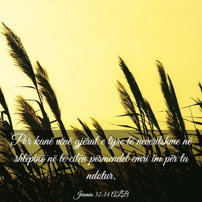Picture 03 - Jeremia 32:34 ALB - Por kanë vënë gjërat e tyre të neveritshme - Bible Verse Picture