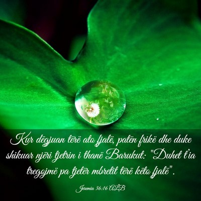 Picture 03 - Jeremia 36:16 ALB - Kur dëgjuan tërë ato fjalë, patën frikë dhe - Bible Verse Picture