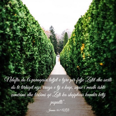 Picture 03 - Jeremia 36:7 ALB - Ndofta do t’i paraqesin lutjet e tyre për - Bible Verse Picture